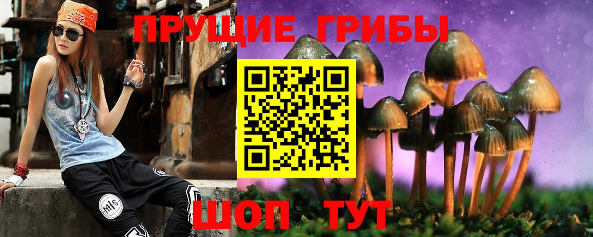Псилоцибиновые грибы мухоморы Свободный